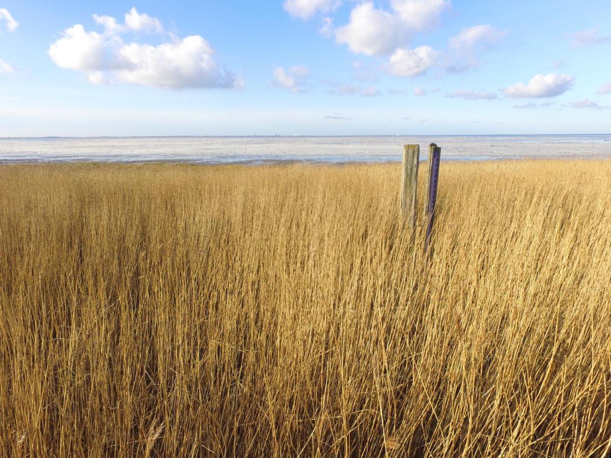 Charme Logies Wad Zout 'T Βίλα Westerland Εξωτερικό φωτογραφία